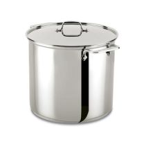 All-Clad Stainless Steel 16 Quart Stock Pot with Lid
