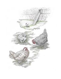 Asher and Arden Chickens Friendship Card