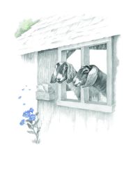 Asher and Arden Goat House Friendship Card