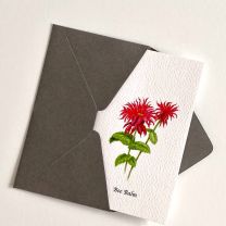 Asher and Arden Garden Botanical Mini Card - Bee Balm