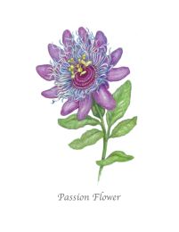 Asher and Arden Garden Floral Mini Card - Passion Flower
