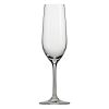 Schott Zwiesel Forte Champagne Flute set of 6  7.7oz