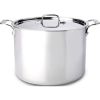 All-Clad 12-Quart Stockpot